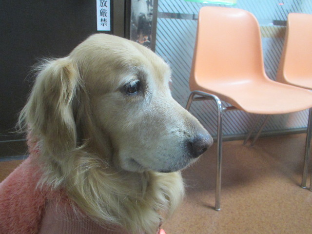 ファイル 3474-1.jpg