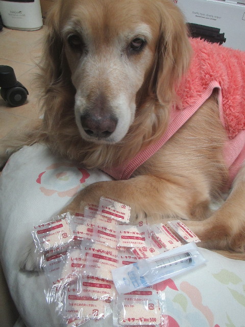 ファイル 3474-2.jpg