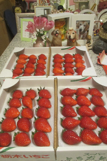 ファイル 3475-2.jpg