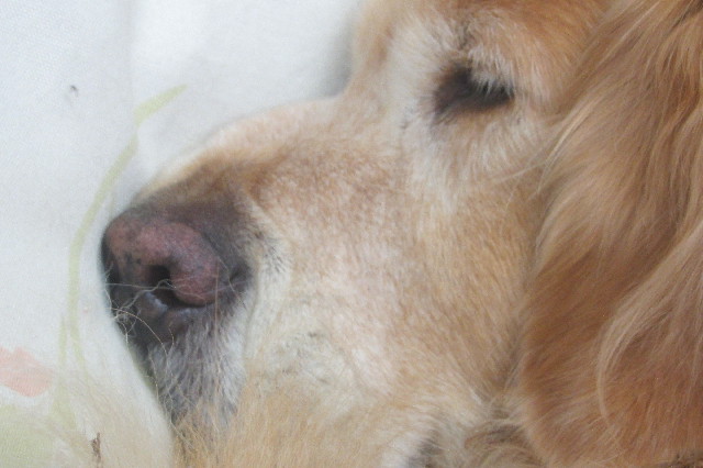 ファイル 3476-1.jpg