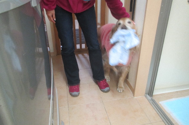 ファイル 3476-2.jpg