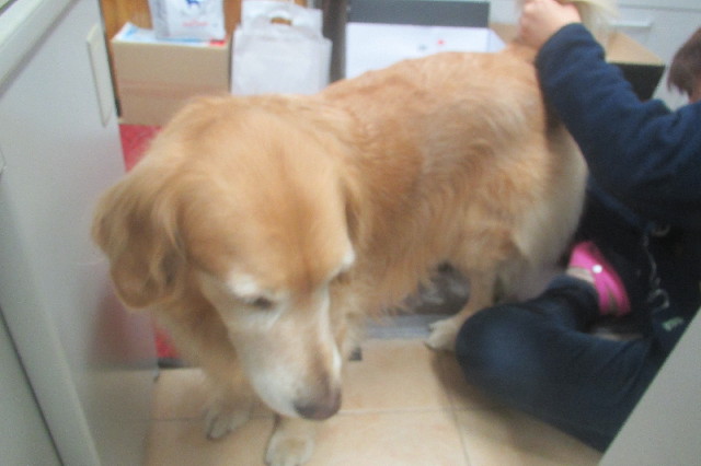 ファイル 3476-5.jpg