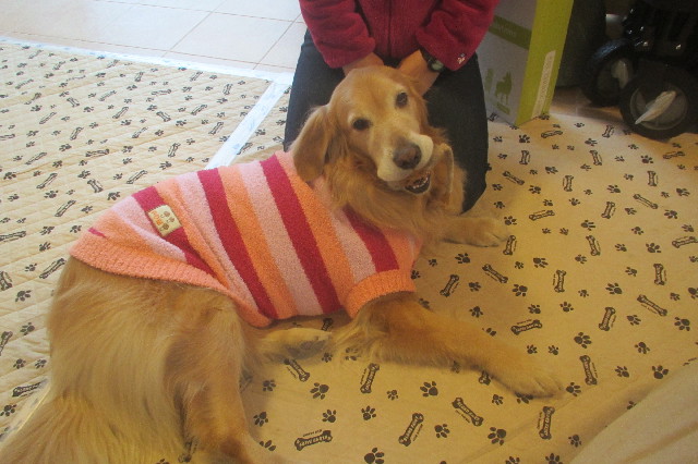 ファイル 3477-2.jpg