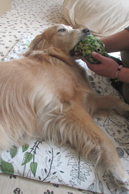 ファイル 3478-1.jpg