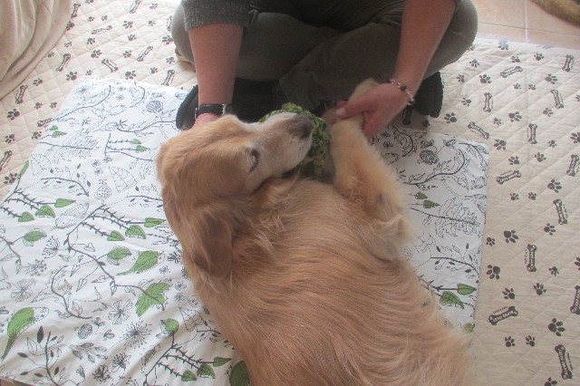 ファイル 3478-2.jpg