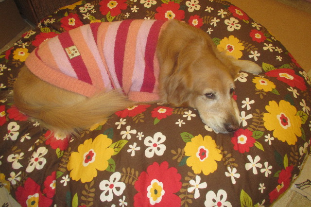 ファイル 3478-3.jpg