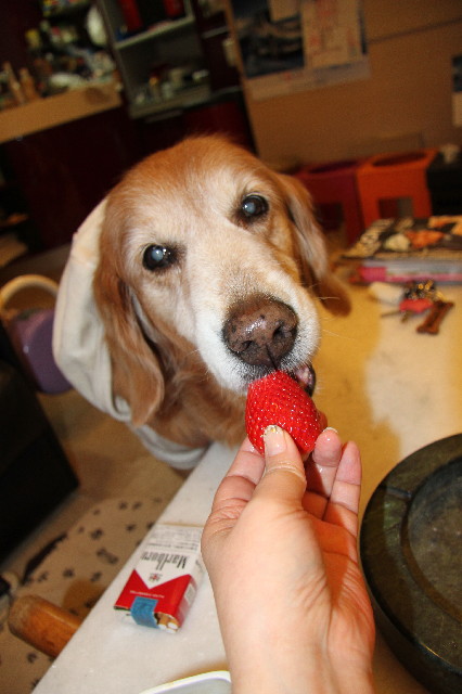 ファイル 3479-1.jpg