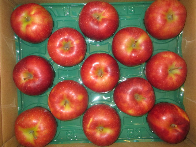 ファイル 3479-5.jpg