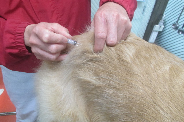 ファイル 3480-1.jpg