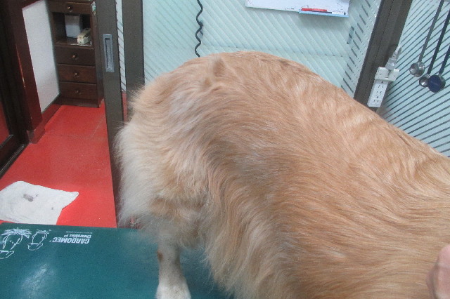 ファイル 3480-2.jpg