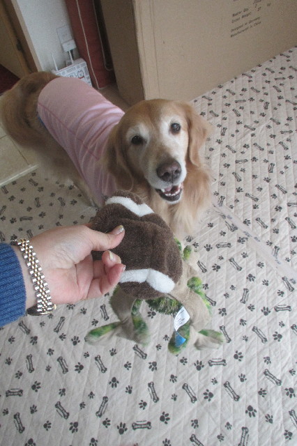 ファイル 3480-3.jpg