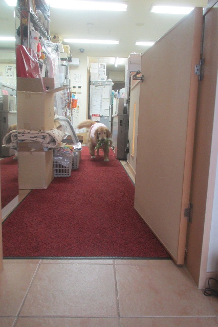 ファイル 3480-4.jpg