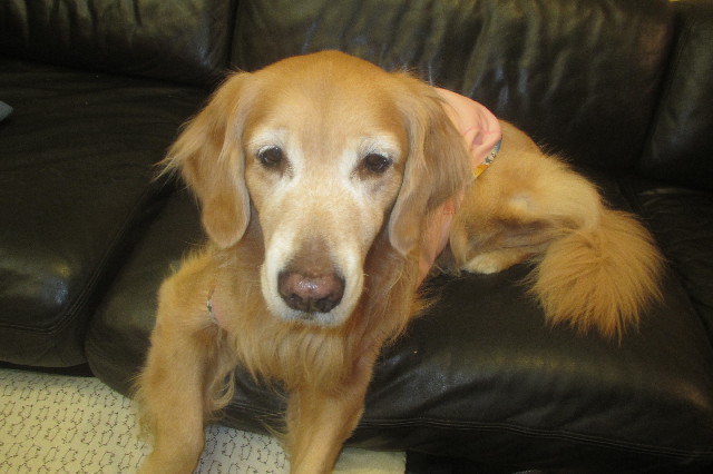 ファイル 3481-3.jpg