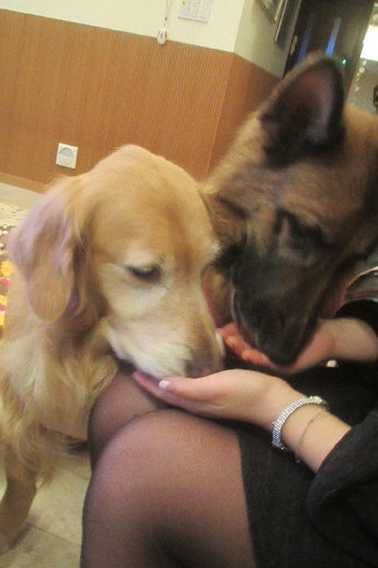 ファイル 3481-5.jpg