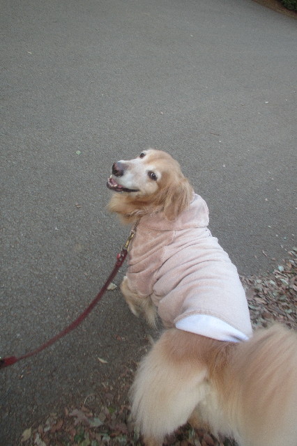 ファイル 3482-1.jpg