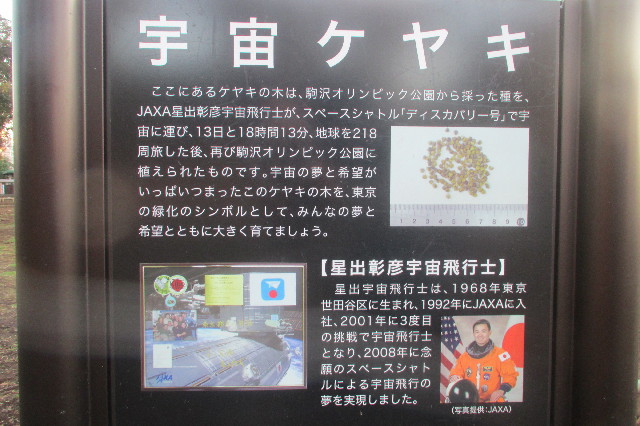 ファイル 3482-4.jpg