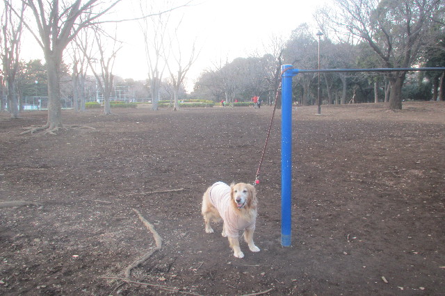 ファイル 3482-5.jpg