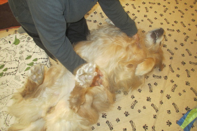 ファイル 3484-3.jpg