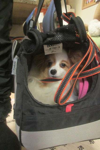 ファイル 3484-4.jpg