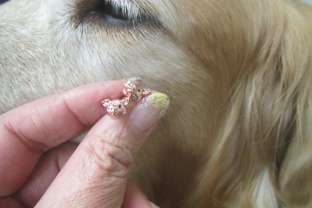 ファイル 3486-1.jpg