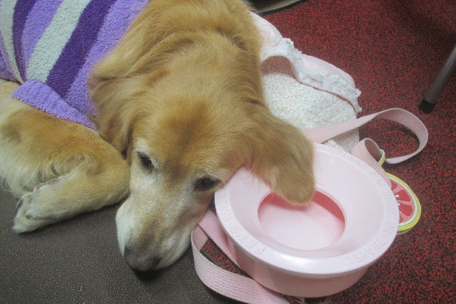 ファイル 3488-2.jpg