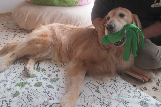 ファイル 3488-5.jpg