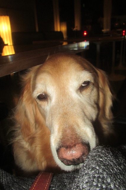 ファイル 3490-3.jpg