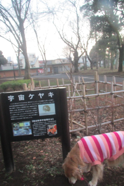 ファイル 3491-2.jpg