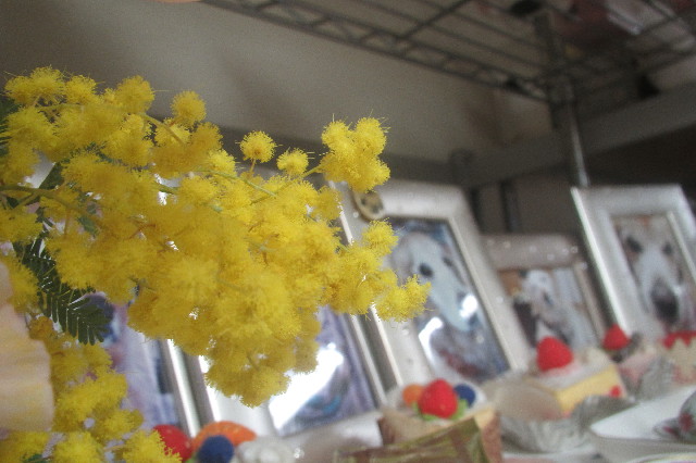 ファイル 3494-3.jpg