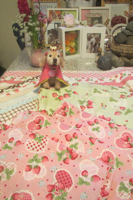 ファイル 3495-1.jpg