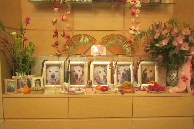 ファイル 3495-4.jpg