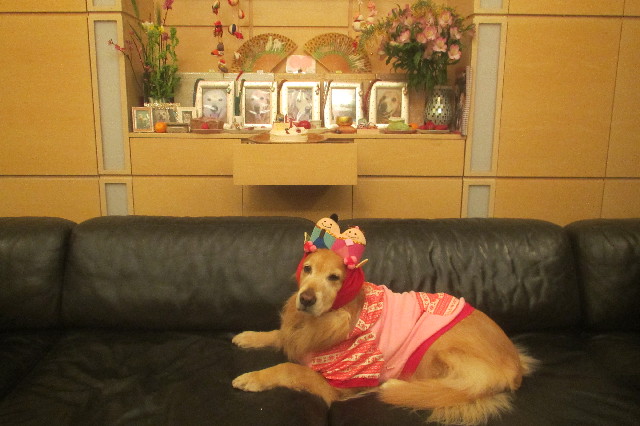 ファイル 3497-4.jpg