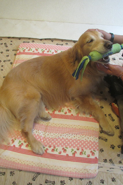 ファイル 3497-5.jpg