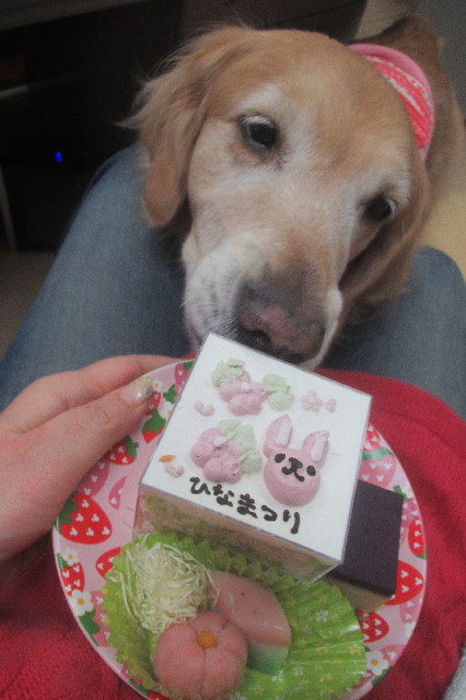 ファイル 3498-1.jpg