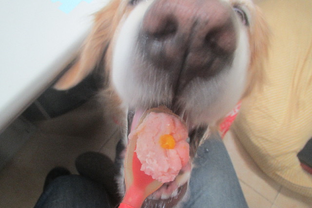 ファイル 3498-3.jpg