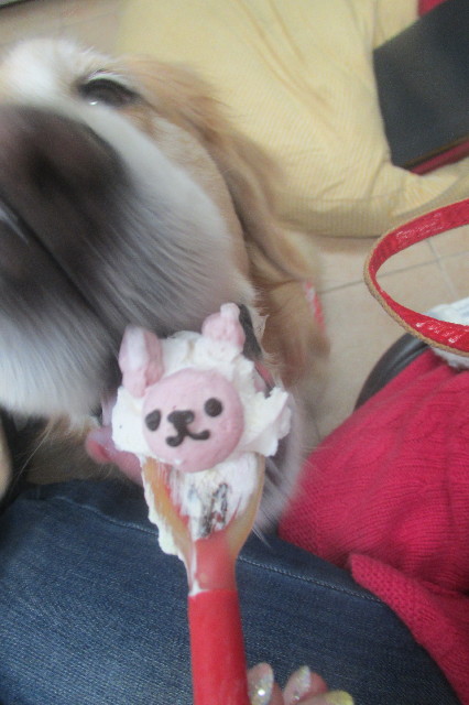 ファイル 3498-4.jpg