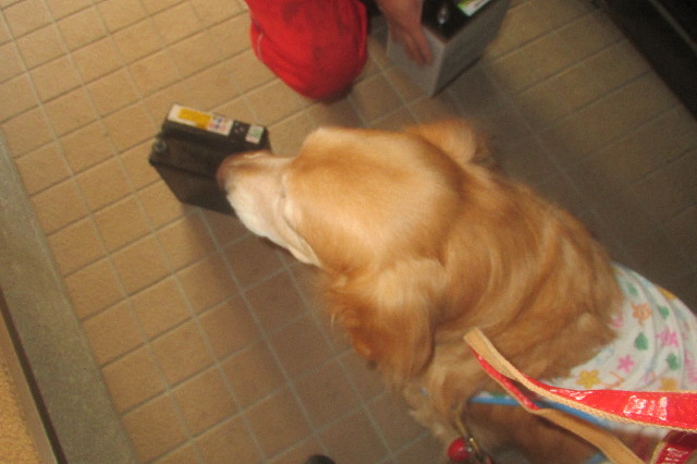 ファイル 3501-1.jpg