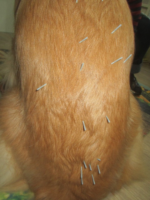 ファイル 3501-2.jpg