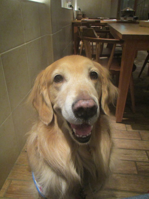 ファイル 3501-4.jpg