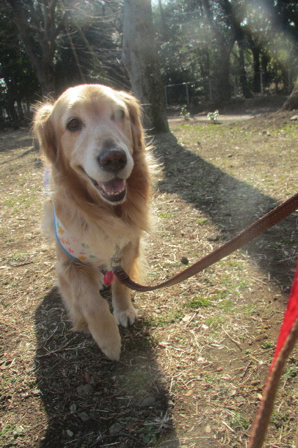 ファイル 3501-5.jpg