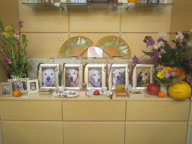 ファイル 3502-2.jpg