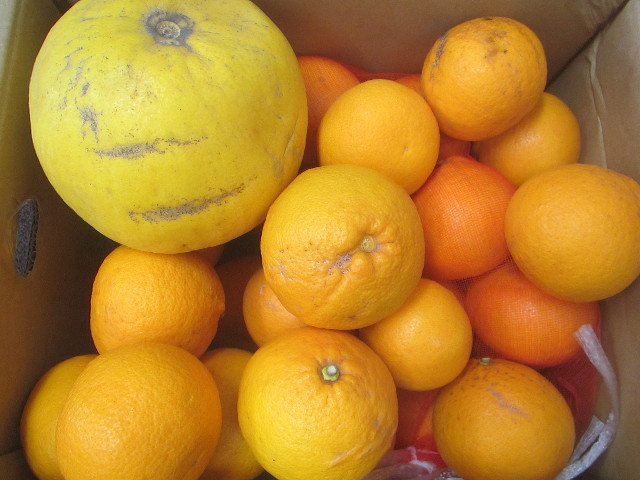 ファイル 3502-5.jpg