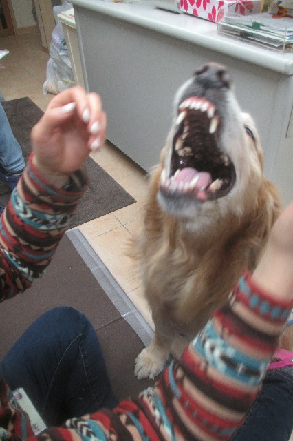 ファイル 3504-3.jpg