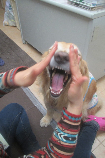 ファイル 3504-4.jpg