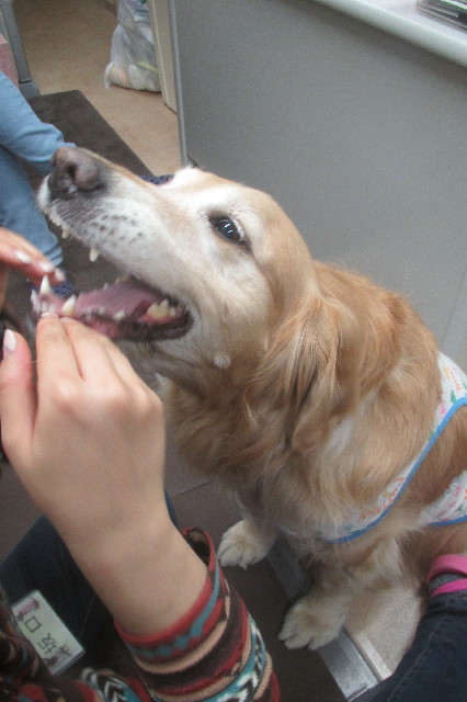 ファイル 3504-5.jpg