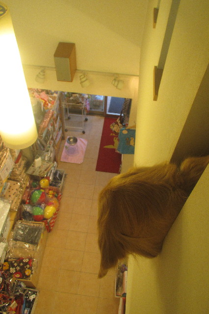 ファイル 3505-3.jpg