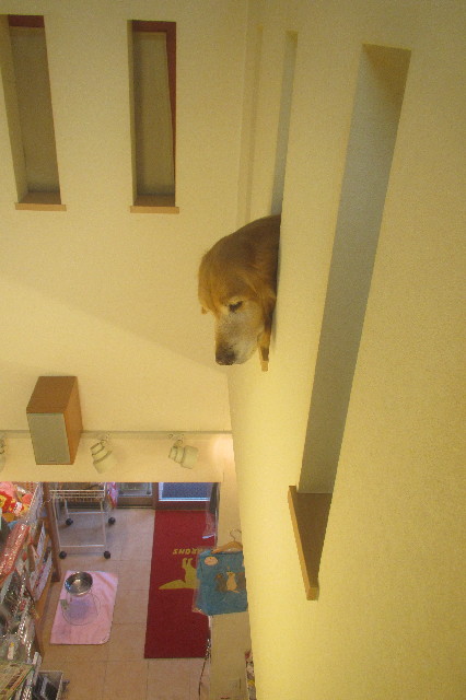 ファイル 3505-4.jpg