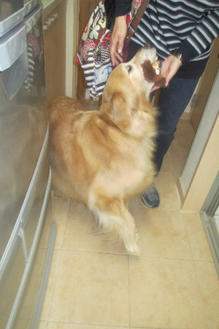 ファイル 3505-5.jpg