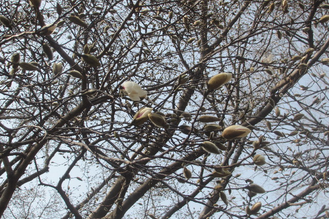 ファイル 3507-2.jpg