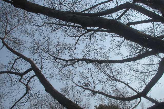 ファイル 3507-4.jpg